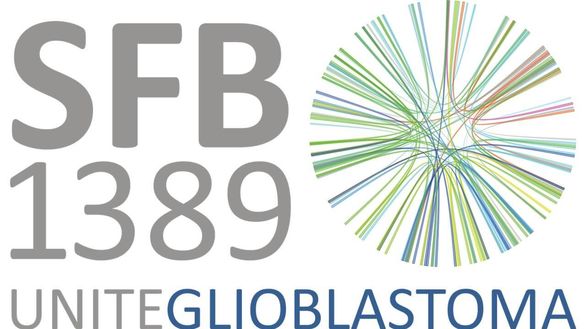 Logo SFB 1389 Logo SFB 1389